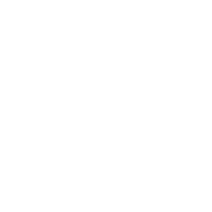 XeniaSoft